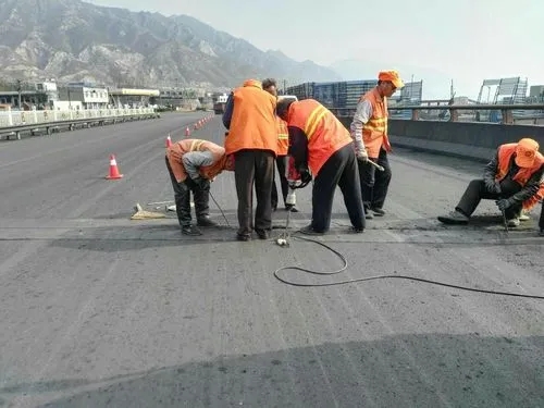 北海道路桥梁病害治理